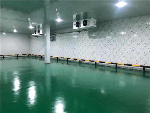 乐竞在线注册蔬菜保鲜库 乐竞在线注册蔬菜保鲜库